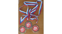 Награды Студенческий ПИР 2013